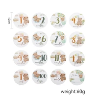 16Pcs Baby Milestone Cards 0-12 Months Newborns Paper Cartoon Little Bear Photography Accessories Infant Grow Commemorate Gifts 6
