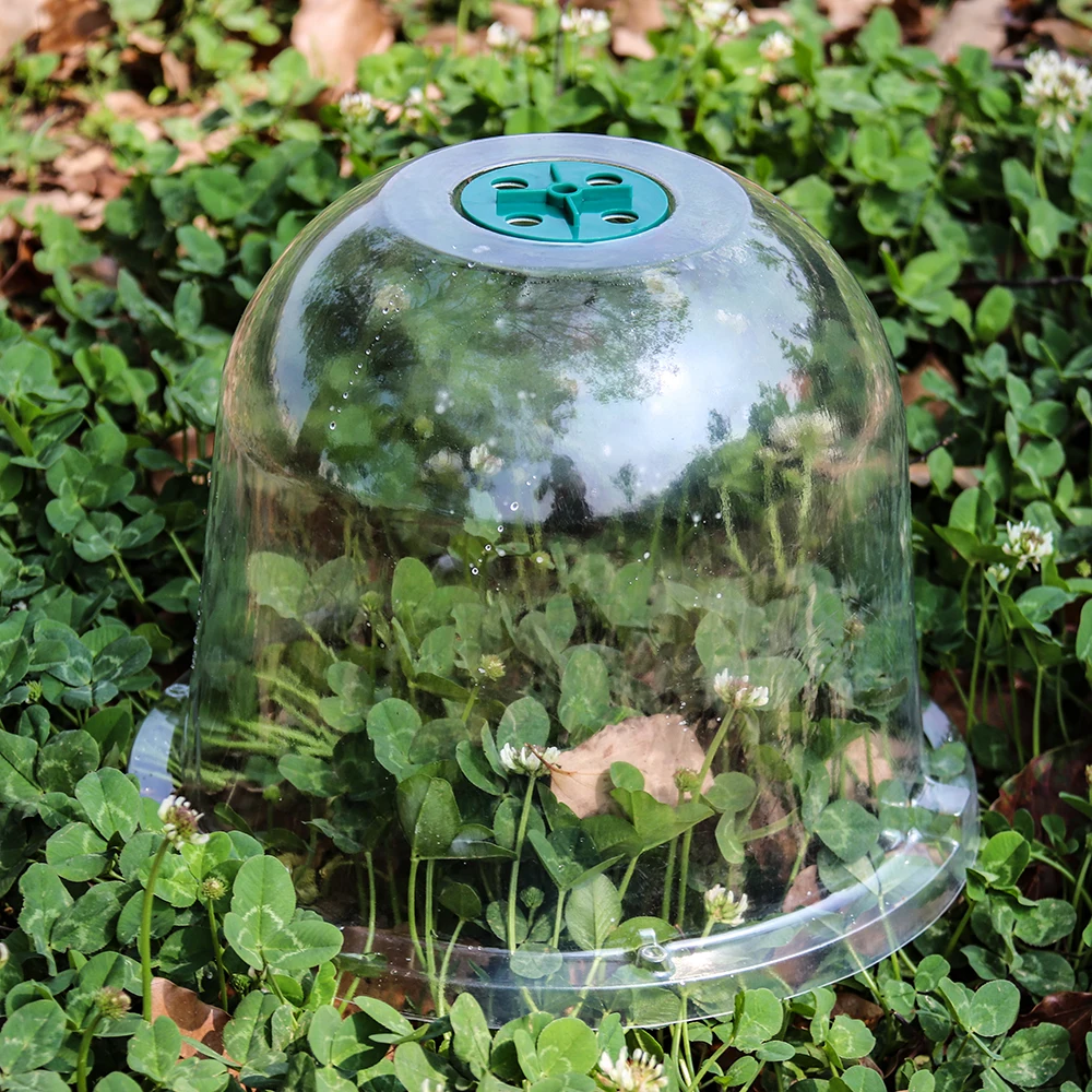 5-Greenhouse-Garden-Plant-Sprout-Guards-for-Frost-Protection-Plus-10-Gardening-Wood-Labels-and-1.jpg 5 Üvegházhatású Kerti Növényi Csírák A Fagyvédelemhez, Plusz 10 Kertészeti Fa Címkék És 1 Marker Toll Újra Felhasználhatók - Image 6