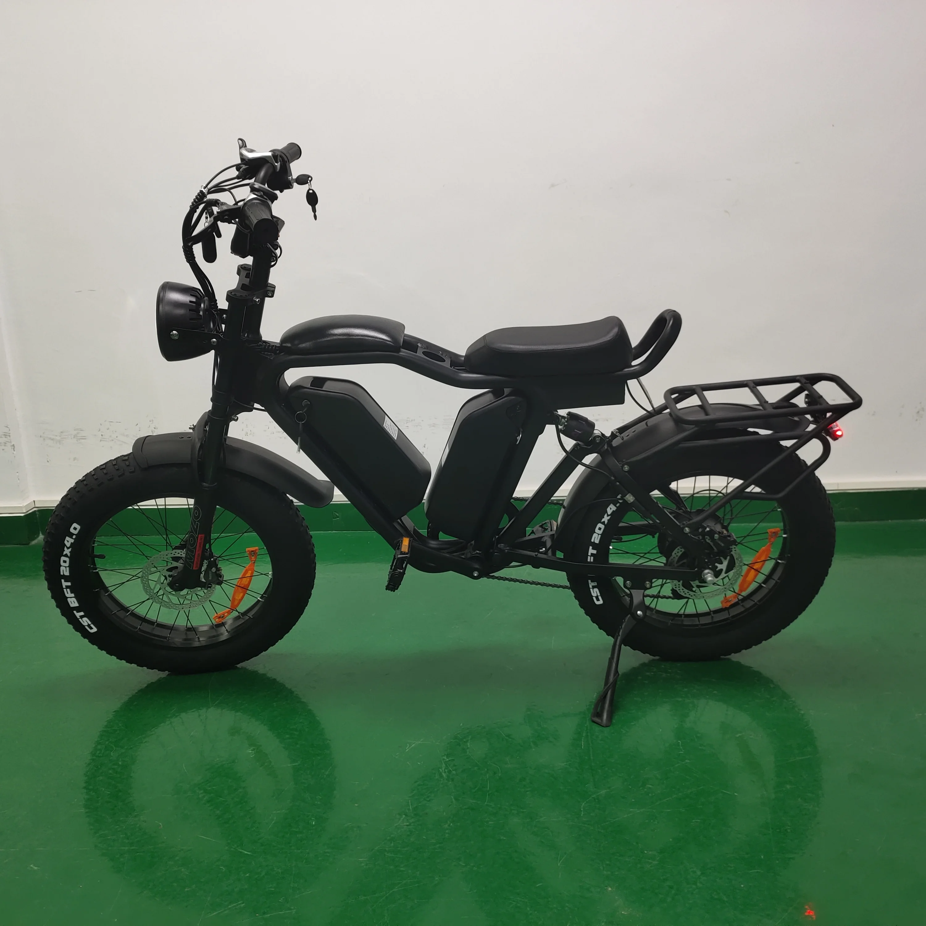 20inch 48v 22ah*2 Dual Lithium Battery 1000w Brushless Motor E Fat Tire Bike Ecycle Cargo Ebike Delivery Electric Bicycle