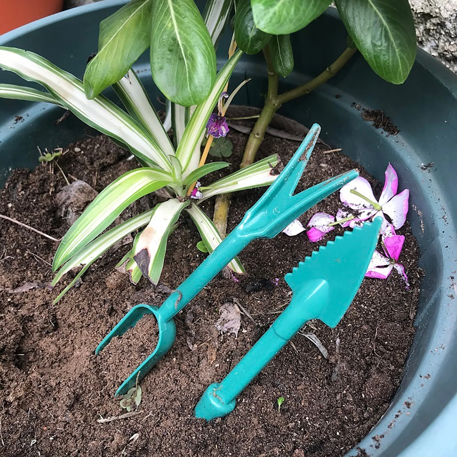 Plant Transplant tool kit Flower Succulent Transplanting Gardening Shovel Fork Garden Cultivate Small Tools Horticulture Fitting