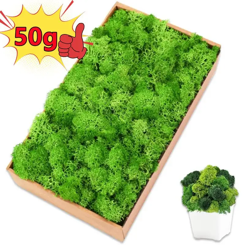 New 50/30/10g Artificial Green Plants Eternal Life Moss Grass Home