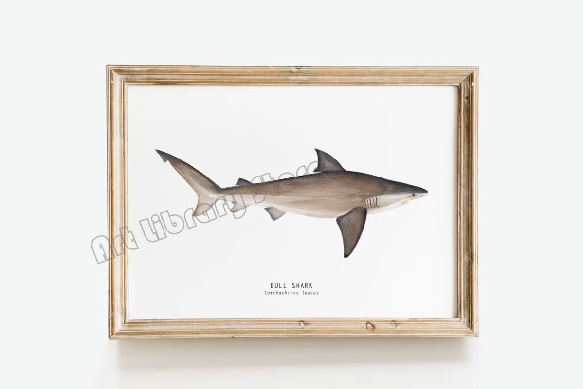 Marine Life Ocean Animals Canvas Art Poster - Whales, Sharks, and Turtles