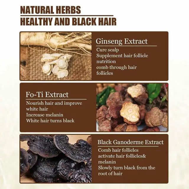 Ganoderma의 힘으로 흰머리카락을 검게