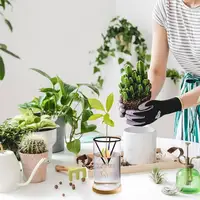 Avocado Tree Starter Vase Avocado Tree Growing Kit 3 Pieces Wooden Base Starter Vase Glass Propagation Plant Pot Sprout Growing 1