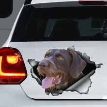 

Drathaar car decal, drathaar magnet, drathaar car sticker, drathaar decal