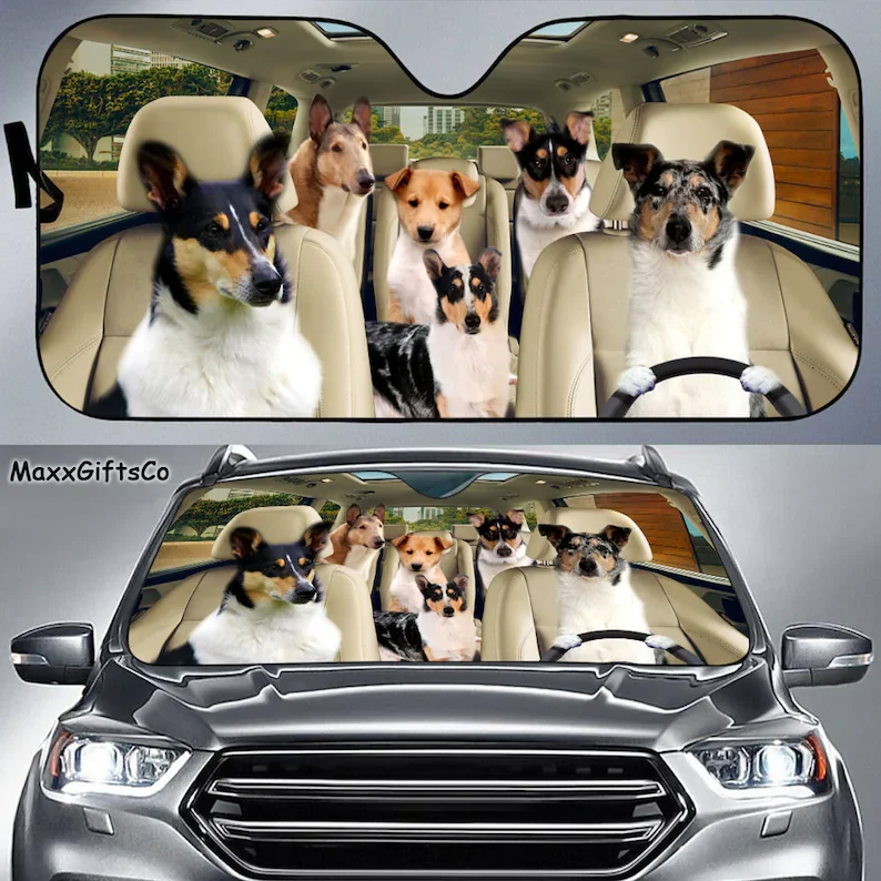 Smooth Collie Car Sun Shade, Smooth Collie Windshield, Dogs Family