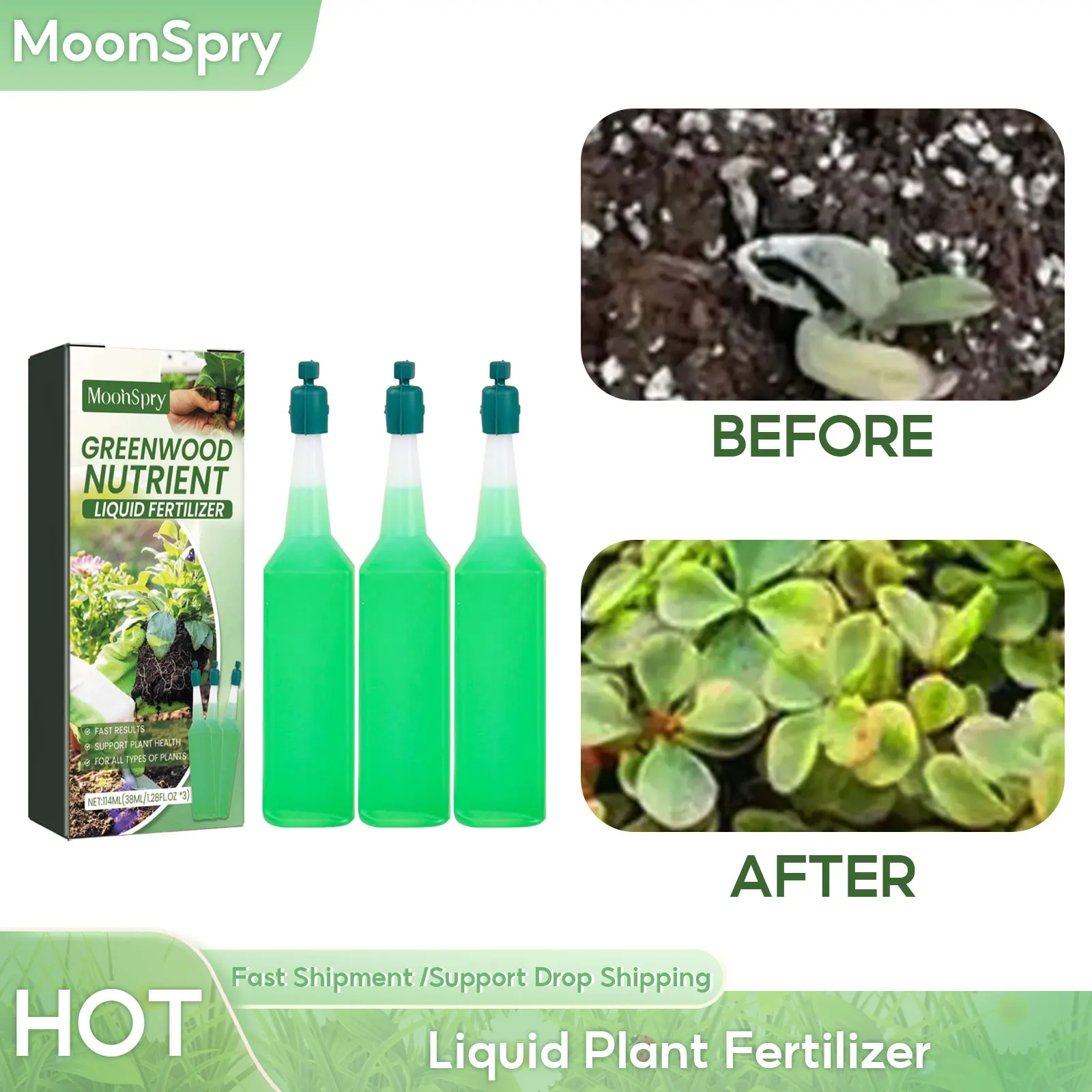 

Liquid Plant Fertilizer Flower Fast Rooting Promote Succulent Growth Plant Seedling Enhancer Hydroponic Plant Nutrient Solution