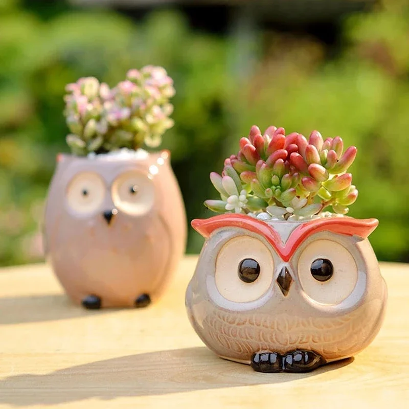 Nordic Garden Succulent Owl Flower Pot 1Pcs