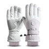 Winter Skiing Gloves for Women Men Cycling Fleece Waterproof Thick Snowflak Motorcycle Touch Screen Warm Windproof Snow Gloves 1