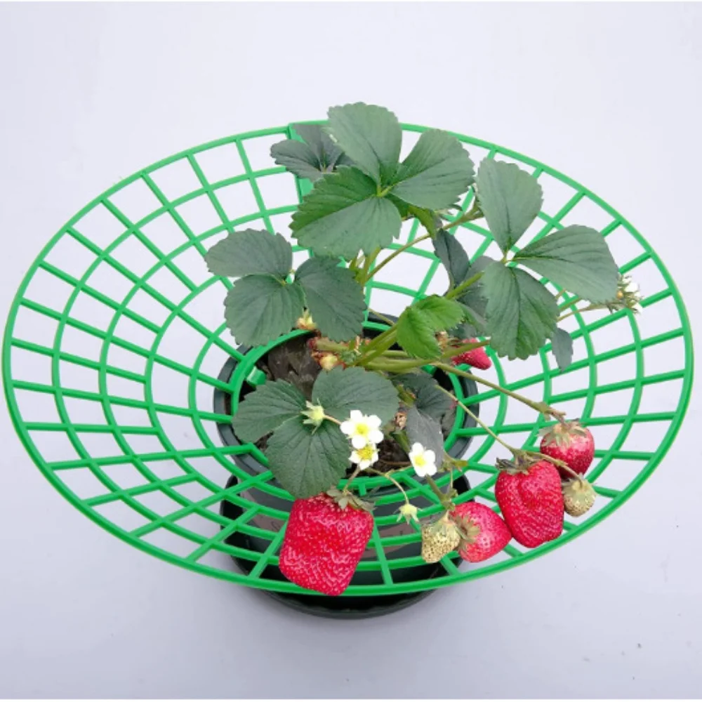 20PCS Strawberry Plant Support Stand Strawberry Growing Racks Protector Growing Frame Racks Holder Cage for Garden