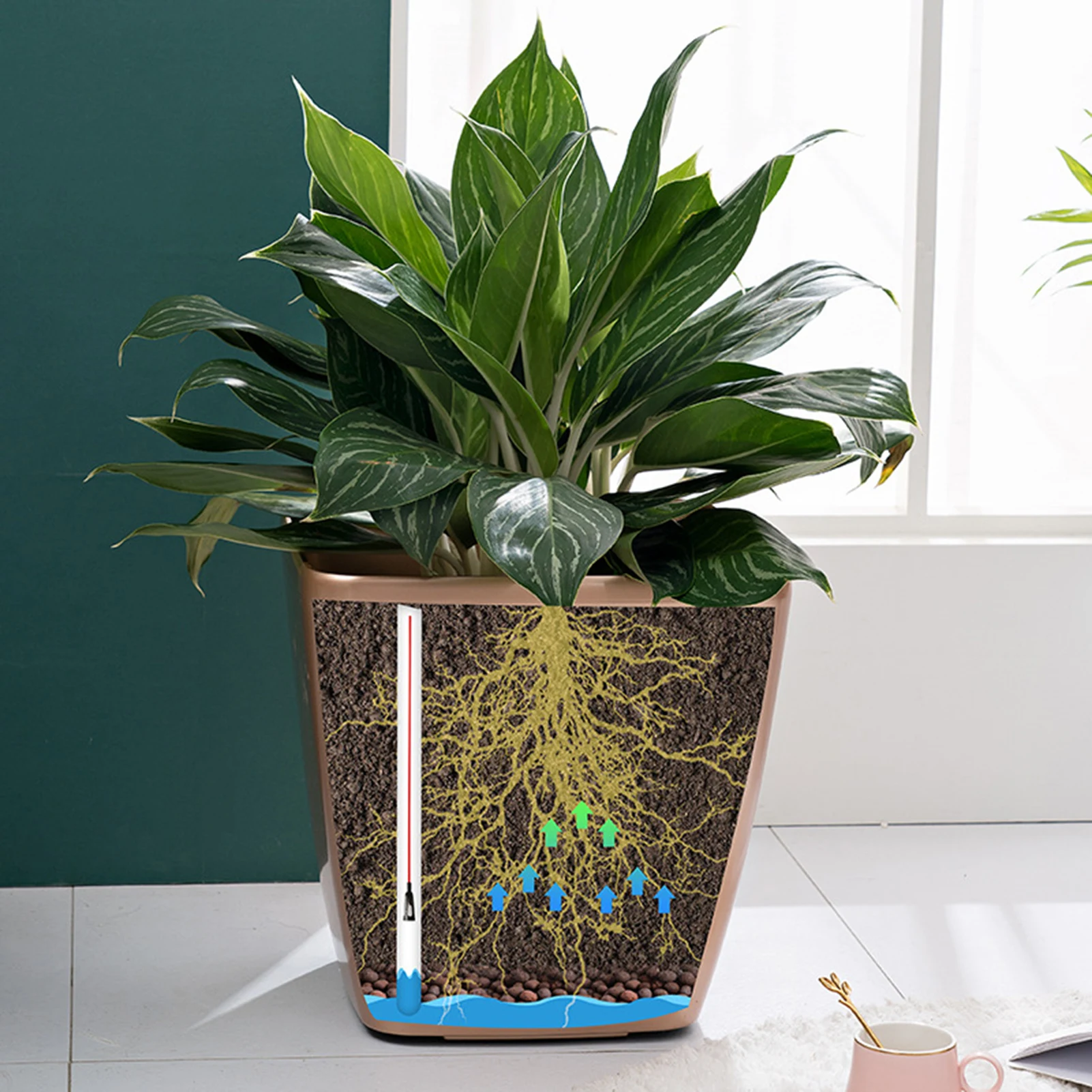 Self-Watering Indoor Planters with Water Level Indicators