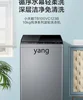 CX automatic home rental dormitory pulsator washing machine 10KG large capacity elution integration 6