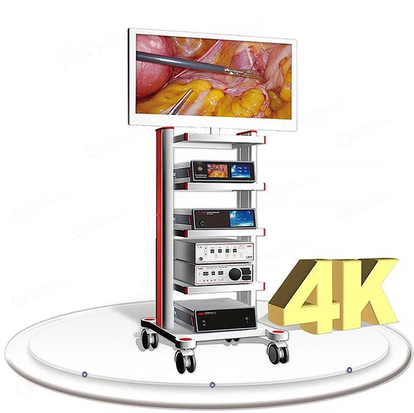 Высокое качество 4K UHD медицинская