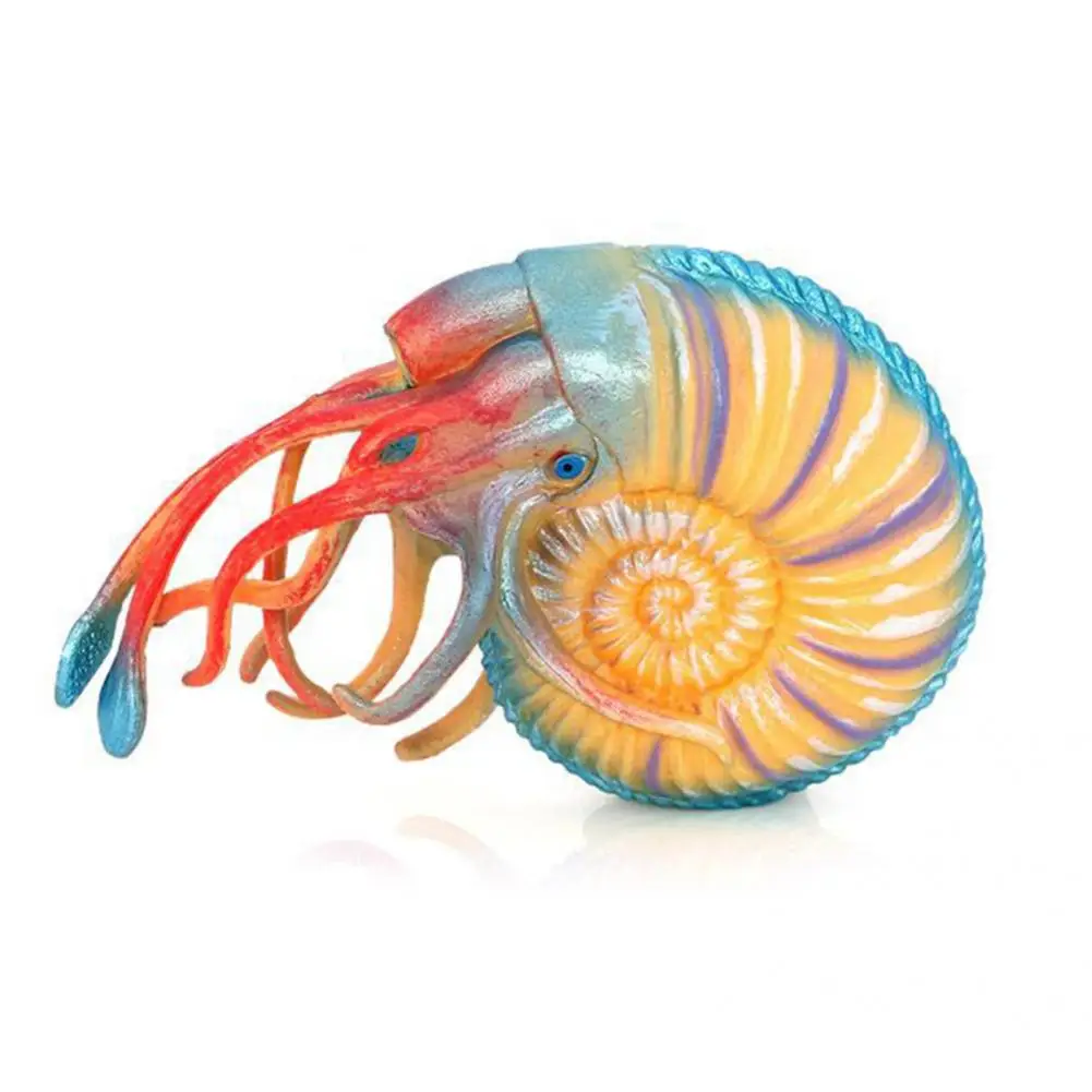 Nautilus Model Smallest Detail Lovely Excellent Craftmanship Ocean Animal  Model Toy|Action Figures| - AliExpress