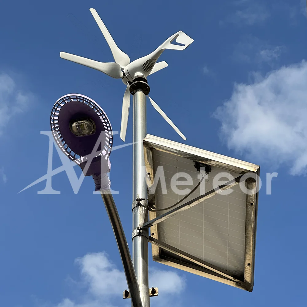 600w 800w 1000w 12v 24v Wind Turbine Generator home water turbine generator Free Energy Power Generator With MPPT Controller solar wind generator hydroelectric generator