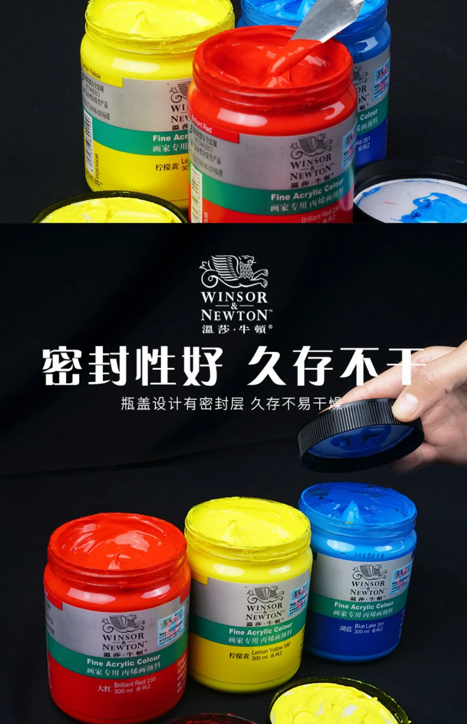 WINSOR & NEWTON Acrylfarbe, 300 ml/Flasche, wasserfester Sonnenschutz, kein Ausbleichen, Wandmalerei, handgemaltes Textil, Studentenkünstler – Detail 7