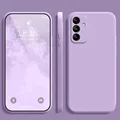 Lavender purple