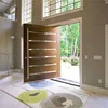 Elegant Modern Security Large Size Front Exterior Use Stainless Steel Handles Decorative Pivot Door 4