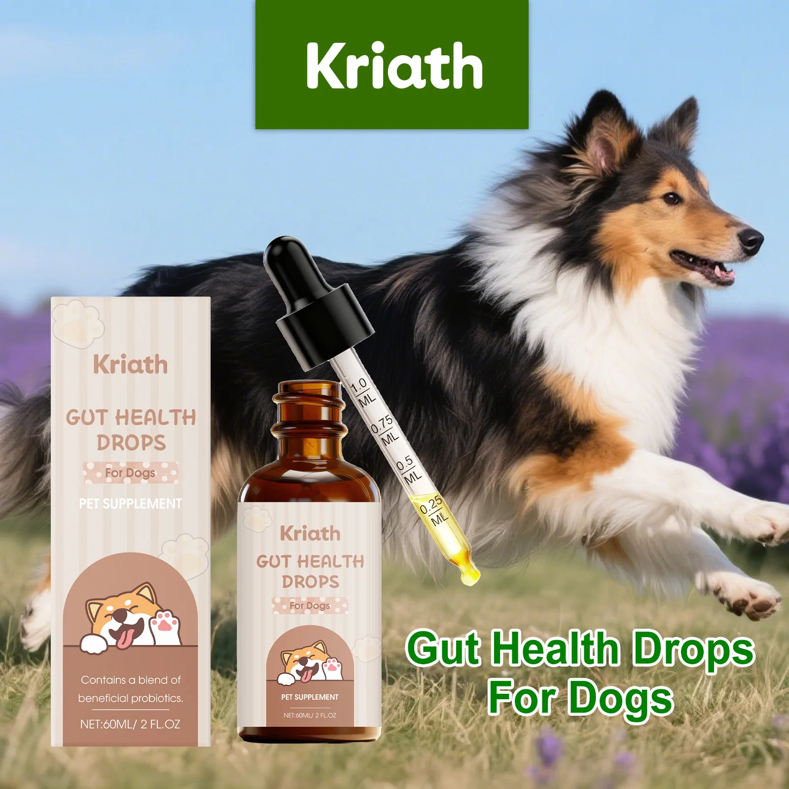 Gouttes probiotiques pour la santé intestinale des chiens, nourrissantes et douces, Absorption facile, supplément nutritionnel, Support de la digestion, système immunitaire