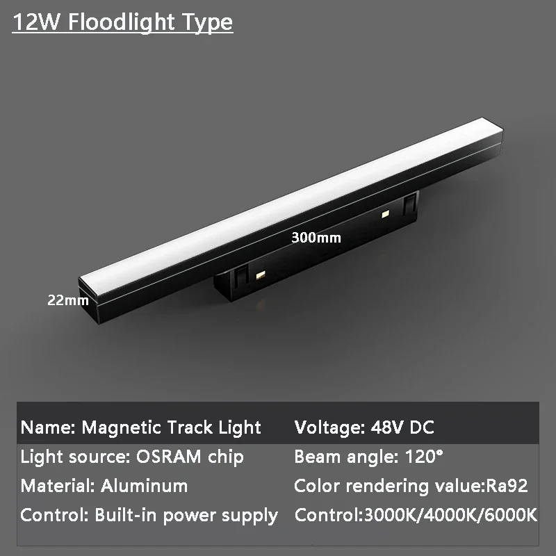 12W Floodlight
