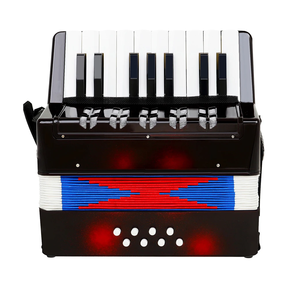 IRIN 41 キー 120 ベースアコーディオンコンサーティーナ