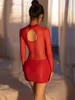 Women Mesh Patchwork Hollow Out Sexy Tight Pencil Cute Dress Smooth See Through Micro Mini Dress Bandage Dress Stage Wear 2