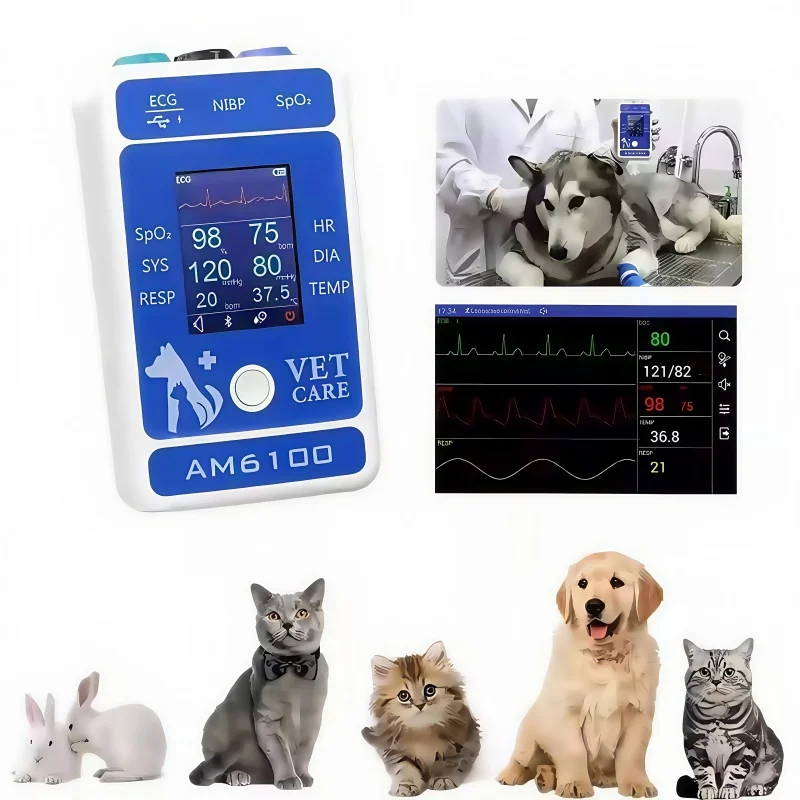 Am6100 Veterinary Monitor Accessories Can Handle Various Animal Vital Signs: PR, HR, NIBP (Blood Pressure) SpO2, Breathing TEM