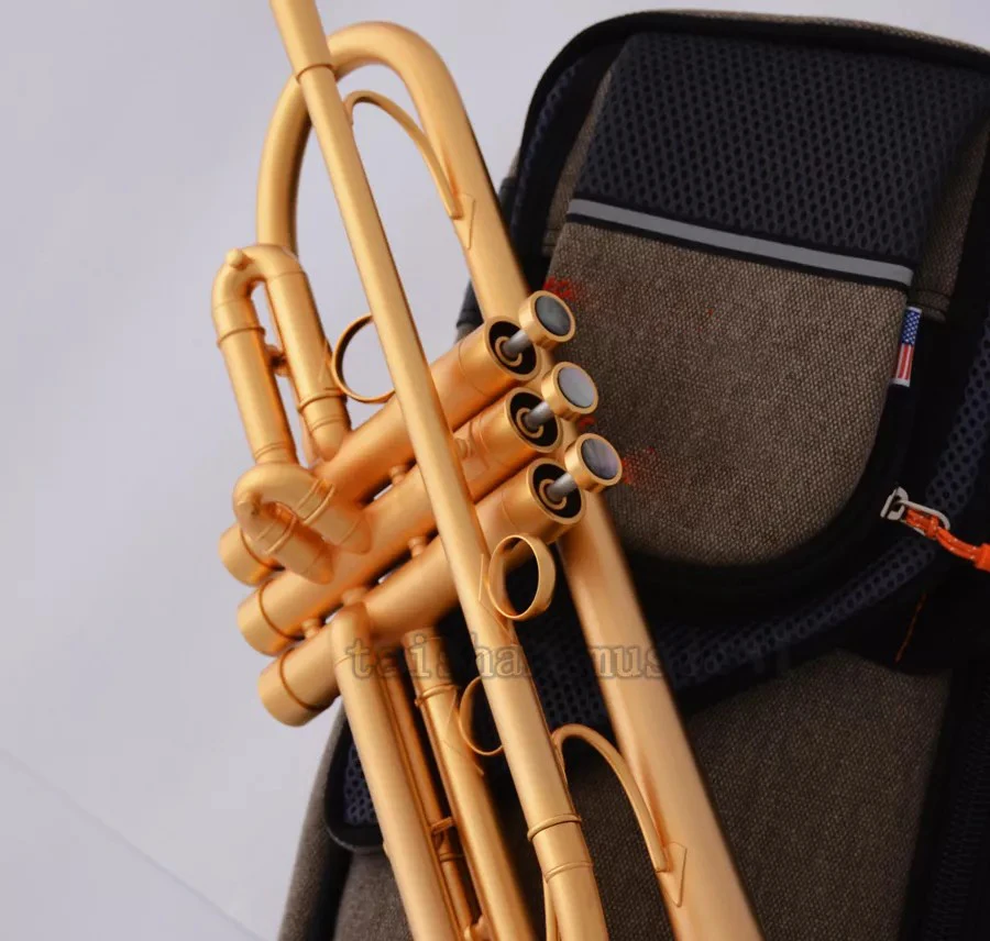 Professional Satin Gold Bb Trumpet Horn Monel Piston Pro. Case