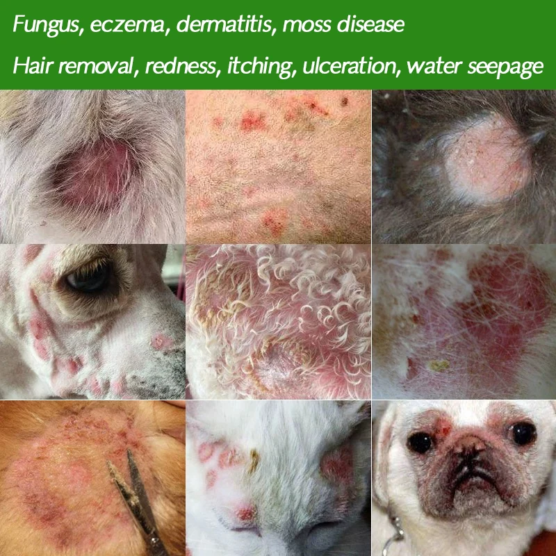 

Pet dog cat skin care agent topical ointment for fungal eczema, dermatitis, swelling, itching, ulceration