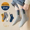 5 Pairs Children's Socks Autumn Mid-calf Length Cotton Socks Kids Boys Sporty Socks Crew Sock 2