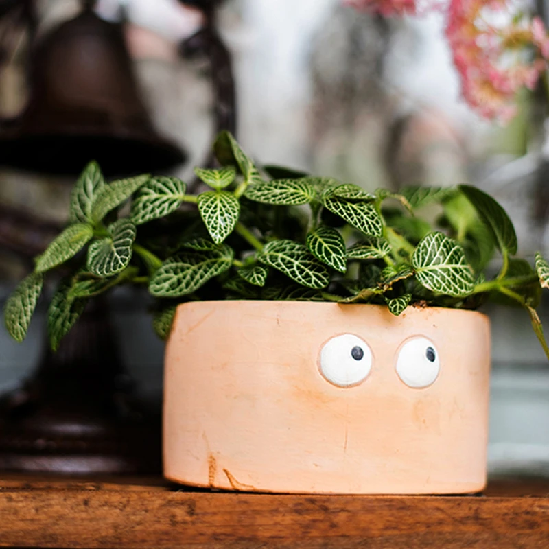 Vasi Creativi per Piante Grasse Resina Casa delle Fate Vaso da Giardino Fioriera di Cactus in Miniatura con Foro di Drenaggio per la Decorazione del Desktop Dell'ufficio Domestico del(Piccolo