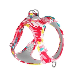 Adjustable Mesh Pet Harness with Leash for Small to Medium Dogs and Cats (Red)
