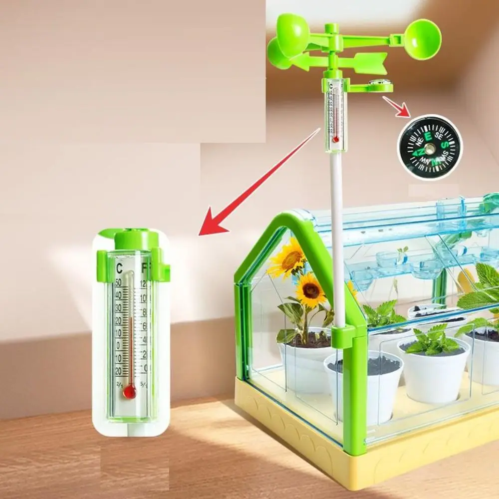 Activity Plant Children'S Planting Homework Experience The Fun