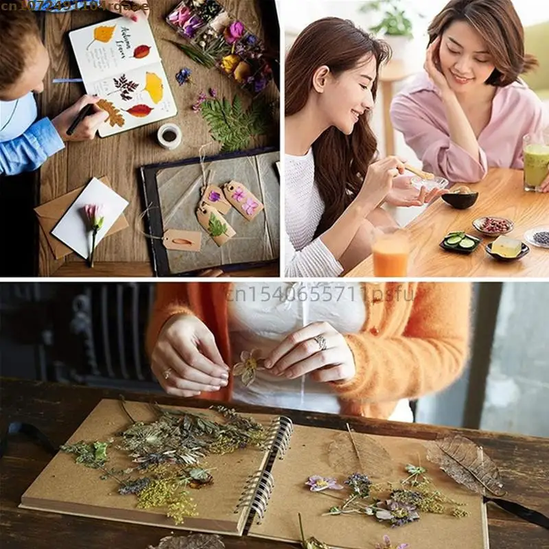 Natural Orchid Butterfly Dried Flowers For Soap Candle Essence Pigment Tea Women's Perfume Materials candle dye kit,diy candle dye set,resin pigment powder
