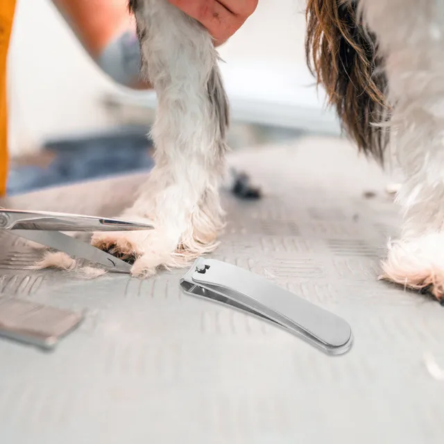 Stainless Steel Professional Pet Nail Clippers Angled Blades for Cats Small Breed Dogs Rabbits Sharp Comfortable Trimming Tool 3
