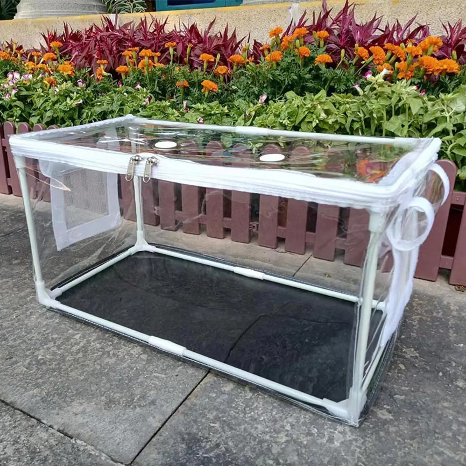Mushroom Container, DIY Kit Transparent Cover, Portable Horticulture Supplies Mini Greenhouse for Mushroom Planting Supplies