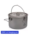 2900ML Titanium pot