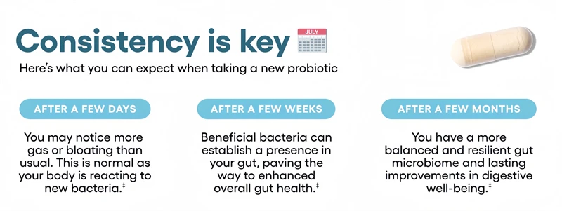 Probiotics 60 Billion Cfu Capsules With Prebiotics For Digestion_voghion.com