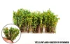 Military Miniature Diorama Model Scene Making Sand Table Building DIY Material Shrub Grass Vegetation Scale Models 5