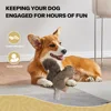 All For Paws Dog Faux Fur Squirrel Toys For Dogs Animal Realistic Squeaker Wildlife Fleece No-Toxic Dolls Pet Accessories 5