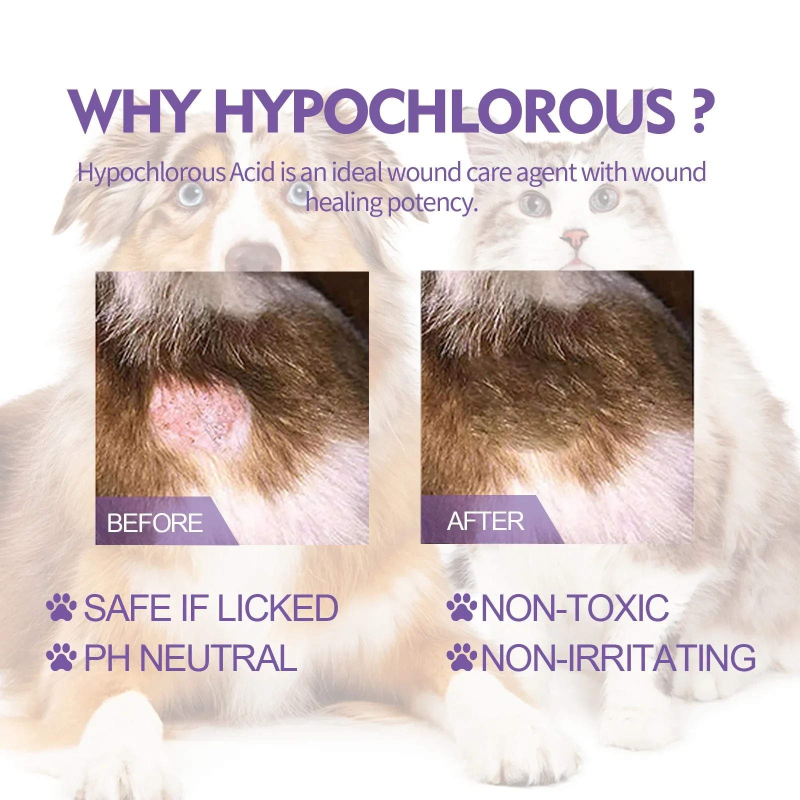 Espray antimicrobiano para picazón de la piel de mascotas, sin Alcohol, elimina ácaros y alivia la limpieza, suministros para el cuidado de s y gatos, 60ml - Imagen 6