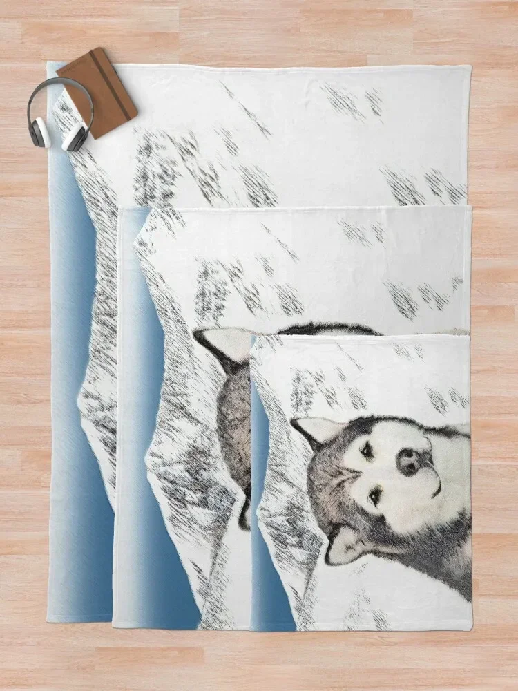 �˷���ī Malamute ������ ���, ���� ����ִ� ���� ���� ��� ���� ���