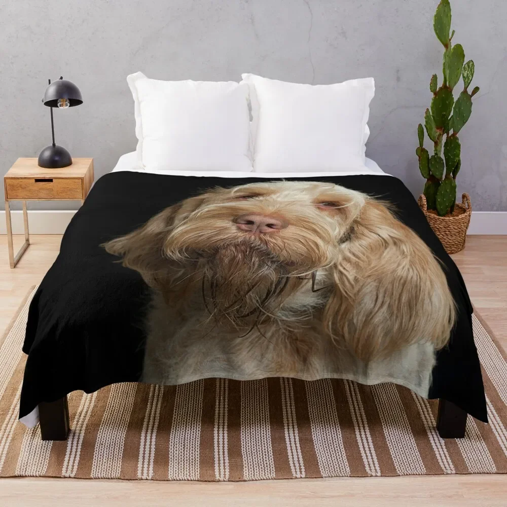 

Head tilt Spinone Throw Blanket Vintage wednesday Blankets