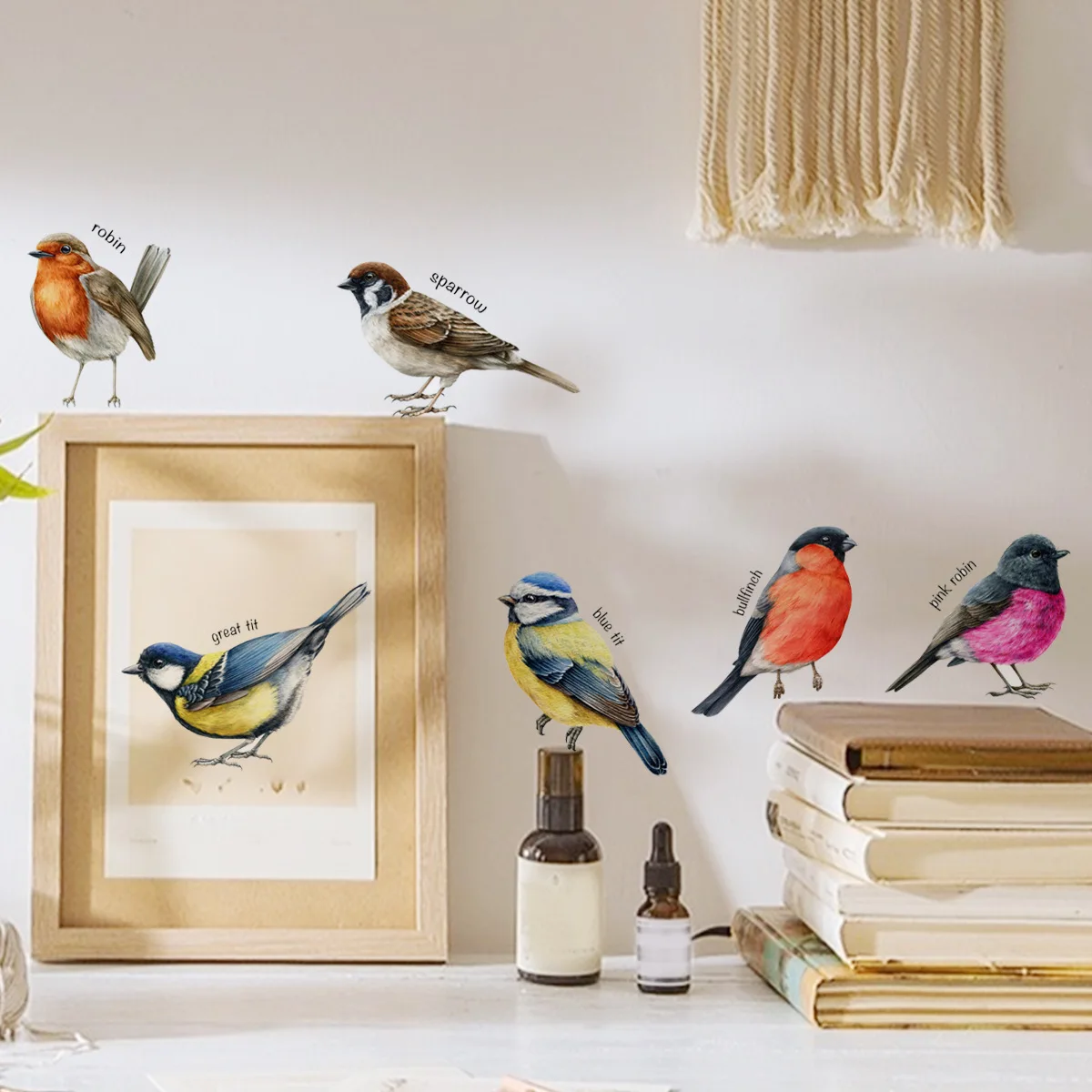 12*50cm English Word Bird Wall Stickers Wall Children's Living Room Bedroom Study Decorative Wall Stickers Wallpaper Ms4278