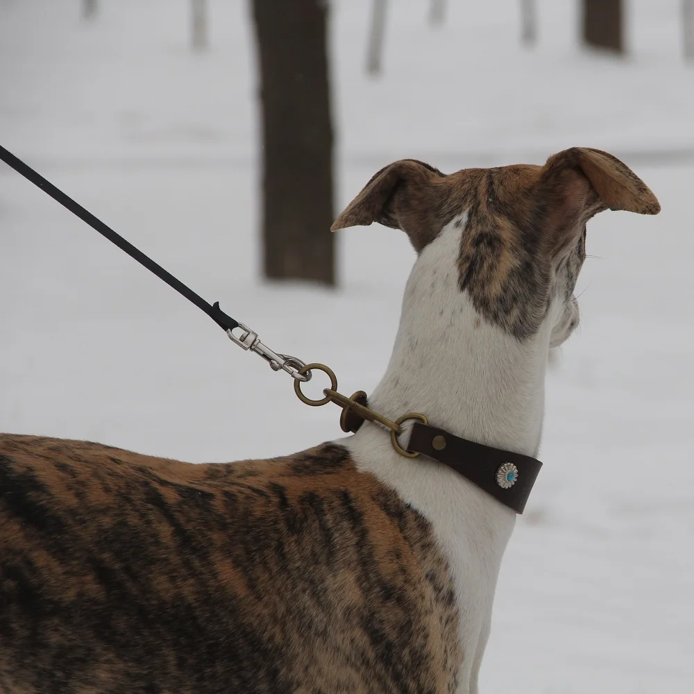 Collare per levriero italiano · Whippet · pelle bianca - INDÓMITO