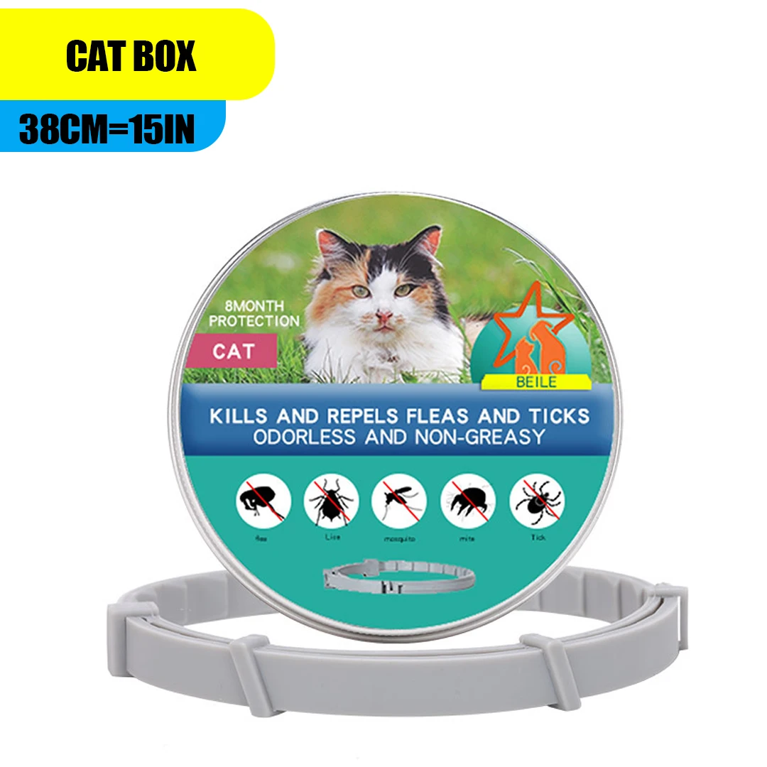 Cat box