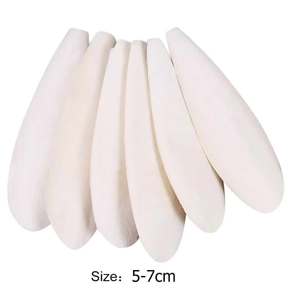 Cuttlefish Bone for Parrot Natural Cuttlebone Chew Toys Chewing Exercise Pet Sensitivity Teeth Grinding Molar Toy