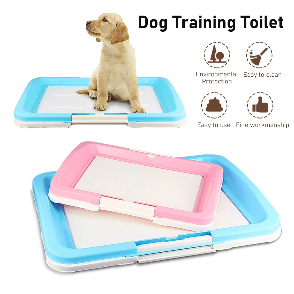 How Do You Litter Train A Small Dog