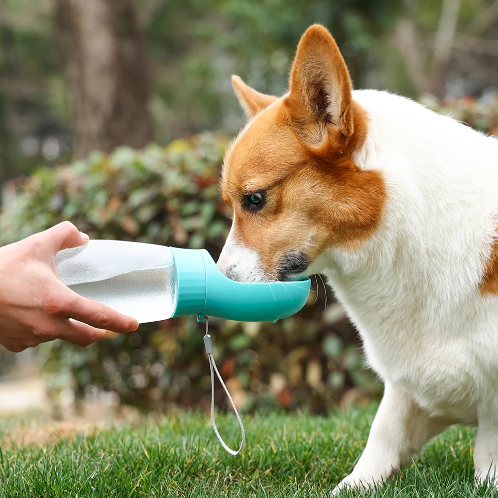 Portable Dog Water Bottle with Drinking Bowl