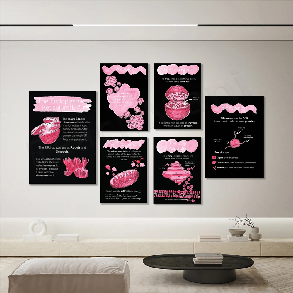 Animal cell, cell membrane, lysosome cell, mitochondrial biology, ribosome biology, Golgi organelle biology scientific poster